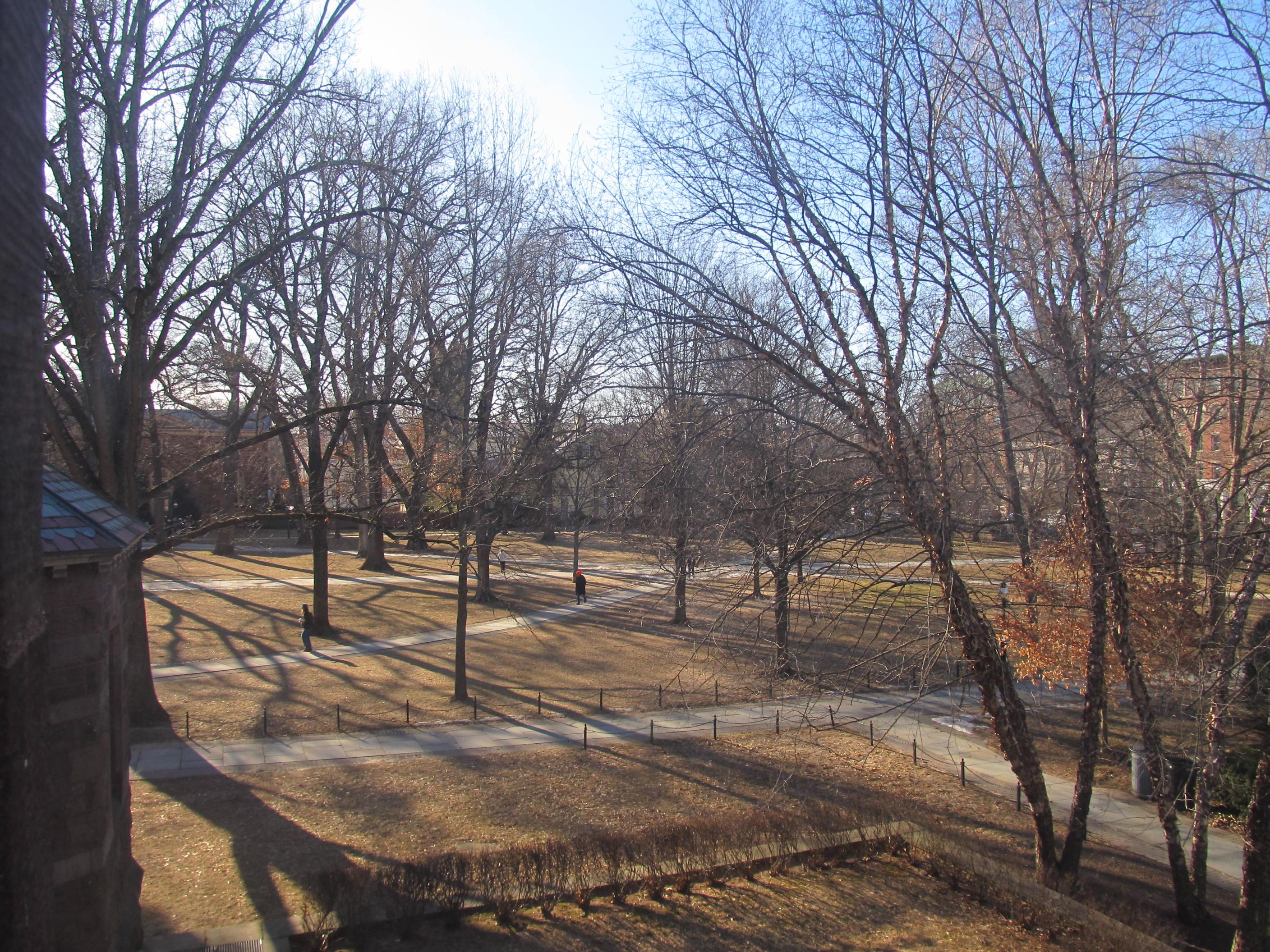 Princeton University